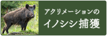 渡良瀬遊水地の害獣対策