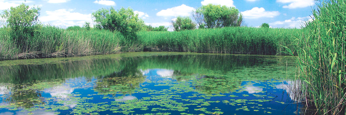 ロードバイク愛好家のみなさまへ | 渡良瀬遊水地 WATARASE YUSUICHI
