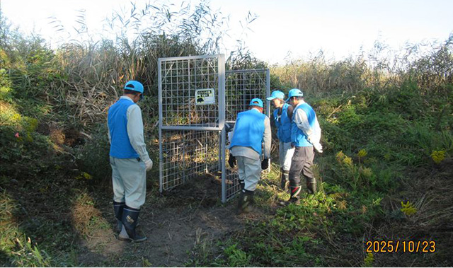 捕獲等従事者の実地研修