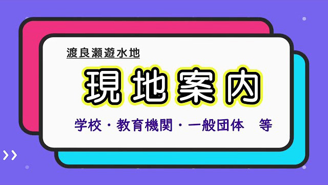渡良瀬遊水地 現地案内 学校・教育機関・一般団体 等