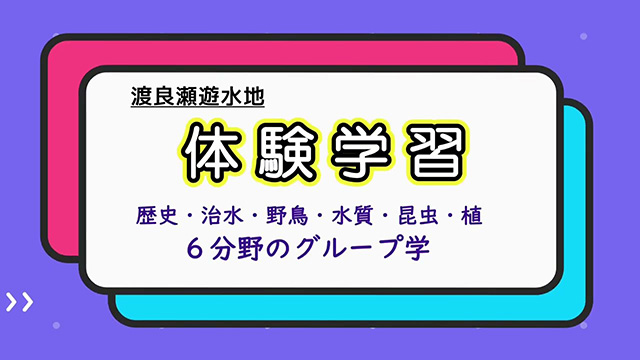 渡良瀬遊水地 体験学習 歴史・治水・野鳥・水質・昆虫・植物 6分野のグループ等